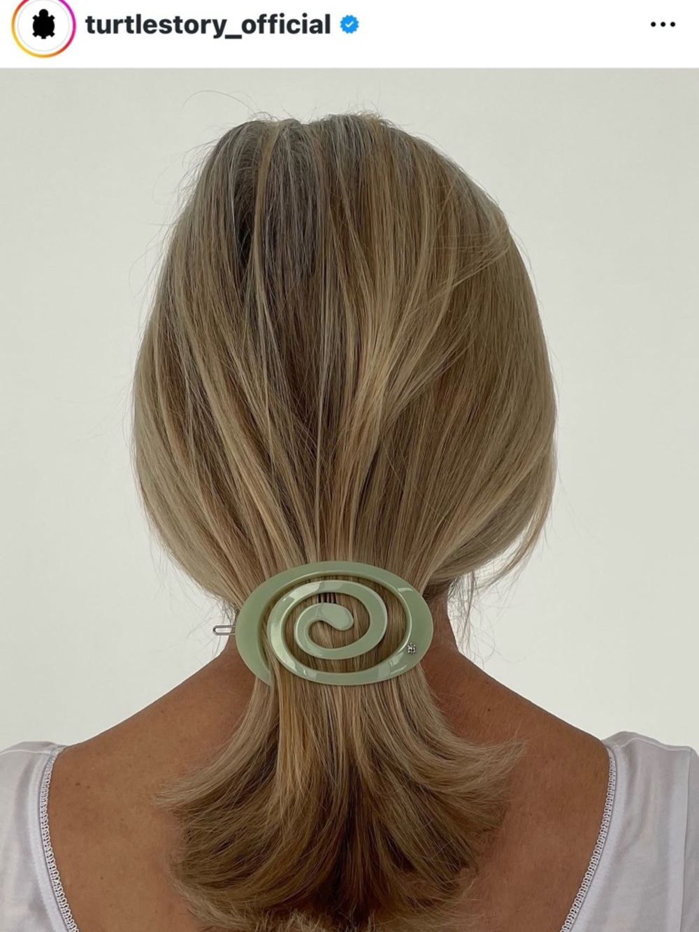 BNIB TURTLESTORY Spiral Hair Clip (large) in Melon🍈🍈🍈